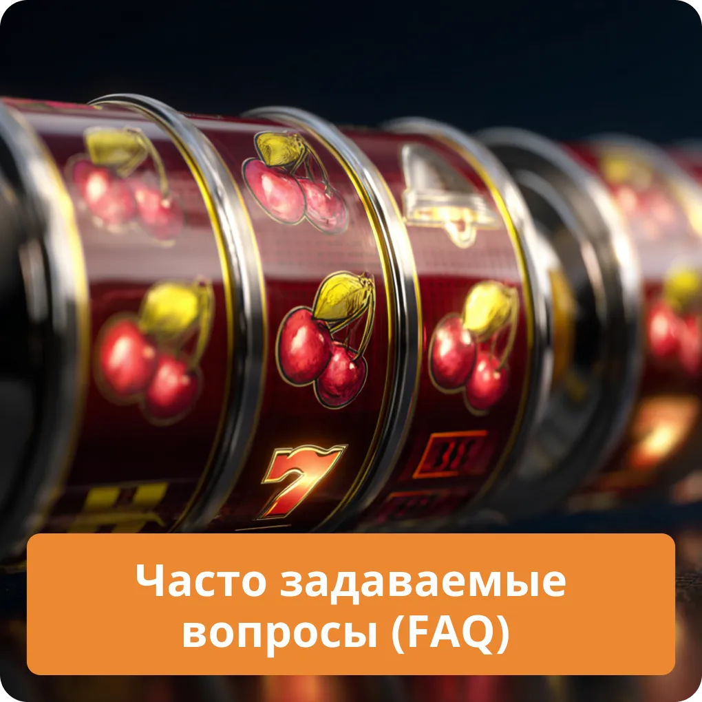 Часто задаваемые вопросы (FAQ)